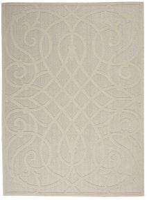 5' x 7' Area Rug