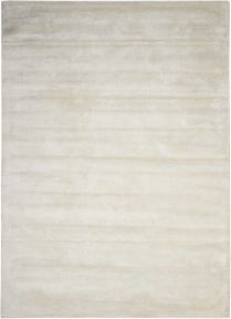 4' x 6' Area Rug