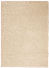 5' x 7' Area Rug